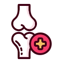Bones & Joints